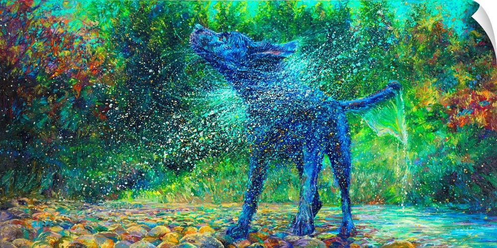 Brightly colored contemporary artwork of a dog shaking off water in a creek.