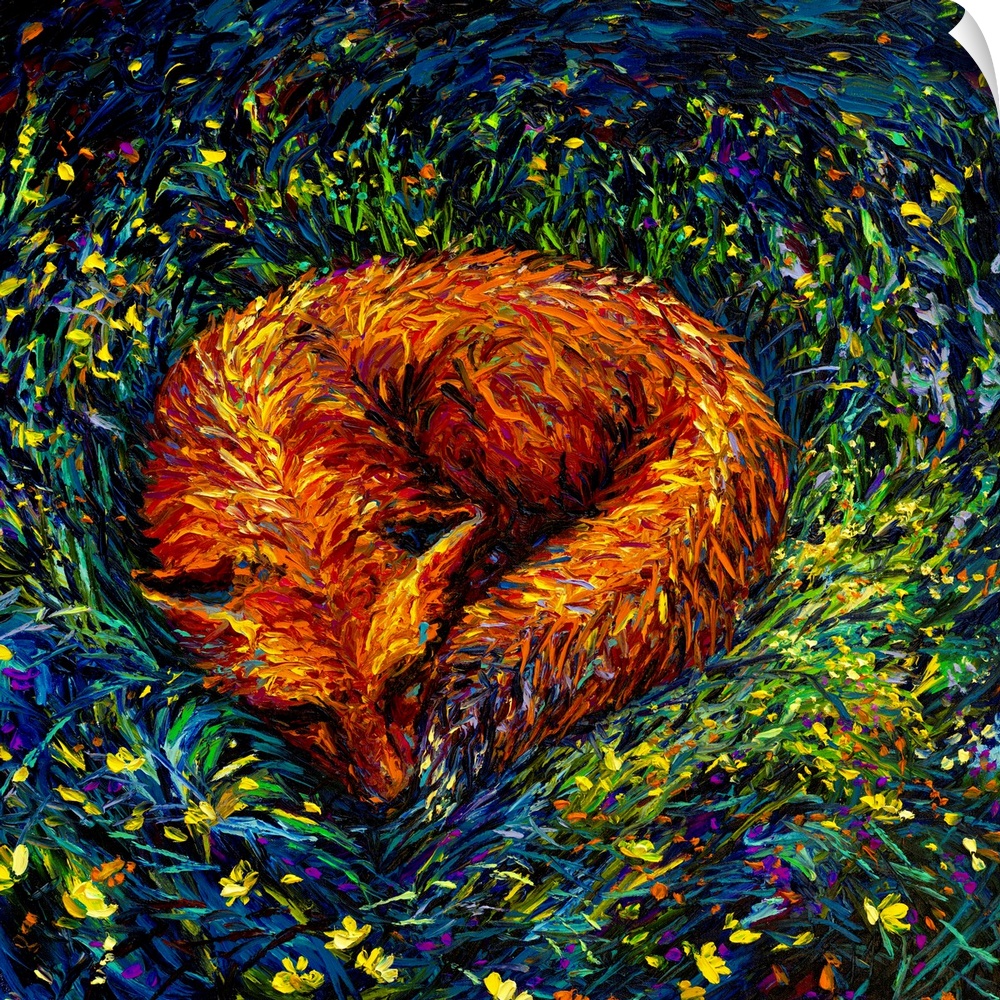 Brightly colored contemporary artwork of a fox napping in the grass.