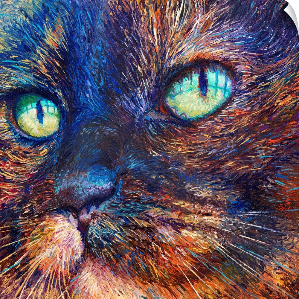 Brightly colored contemporary artwork of a close up of a cat.