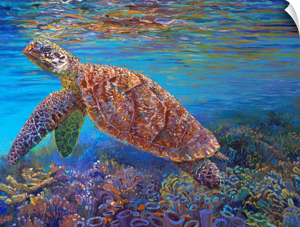 Brightly colored contemporary artwork of a turtle in the ocean with coral.