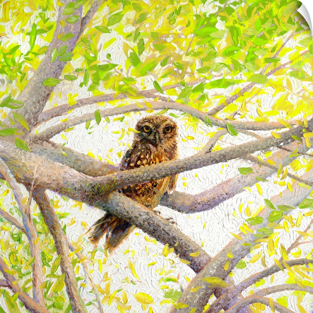 Brightly colored contemporary artwork of an owl sitting in a tree.