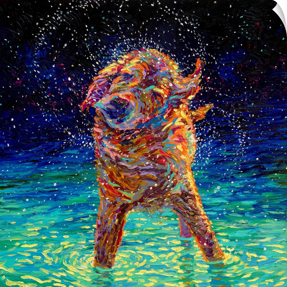 Brightly colored contemporary artwork of a dog shaking off water in the moonlight.