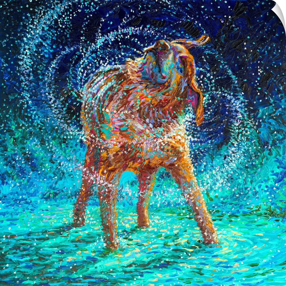 Brightly colored contemporary artwork of an older dog shaking off water.