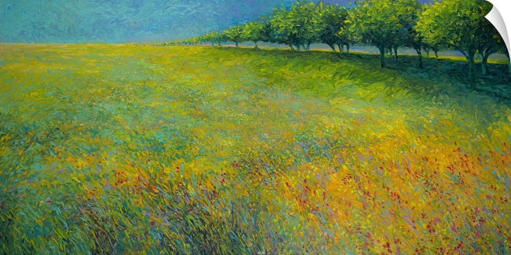 Brightly colored contemporary artwork of a landscape of trees bordering a field of flowers.