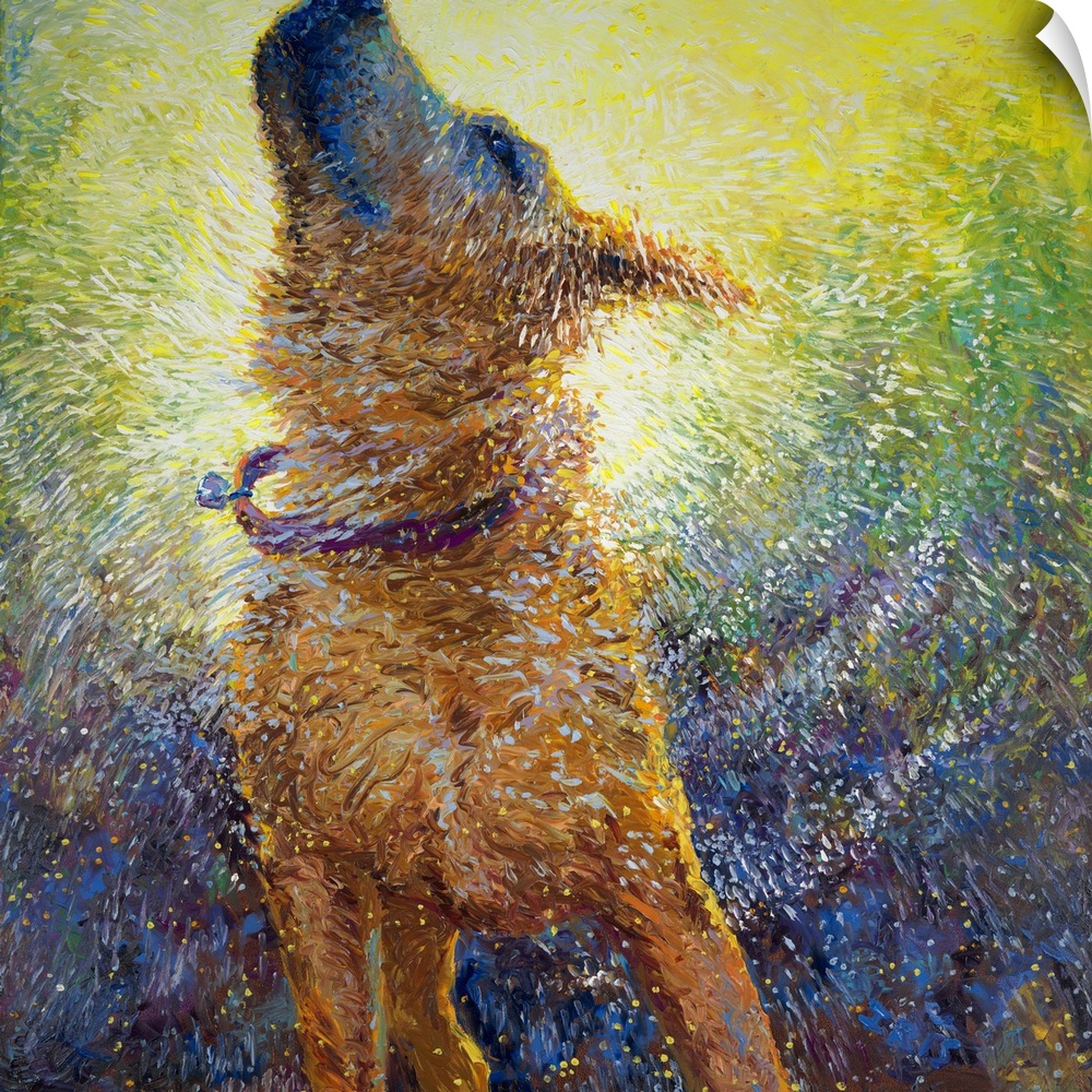 Brightly colored contemporary artwork of a large dog shaking off water.