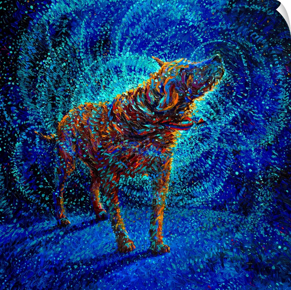 Brightly colored contemporary artwork of a dog shaking off water in circles.