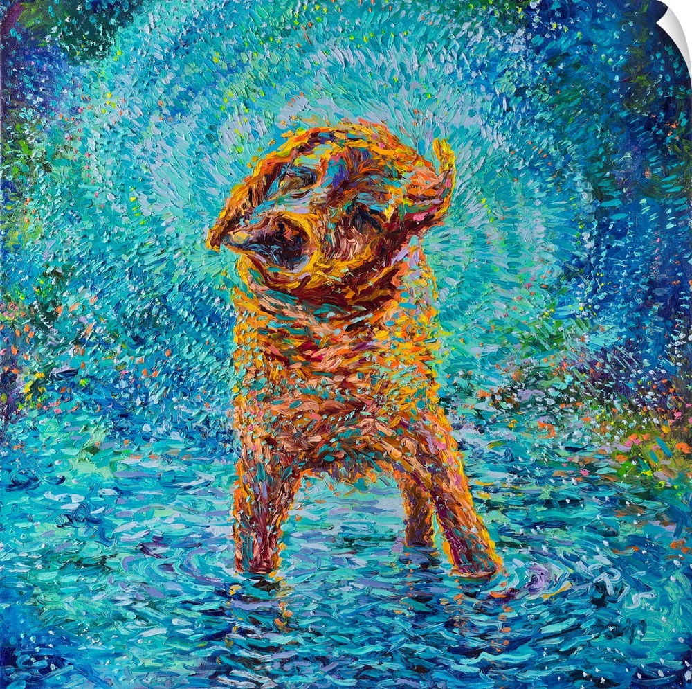 Brightly colored contemporary artwork of a dog standing in water shaking.