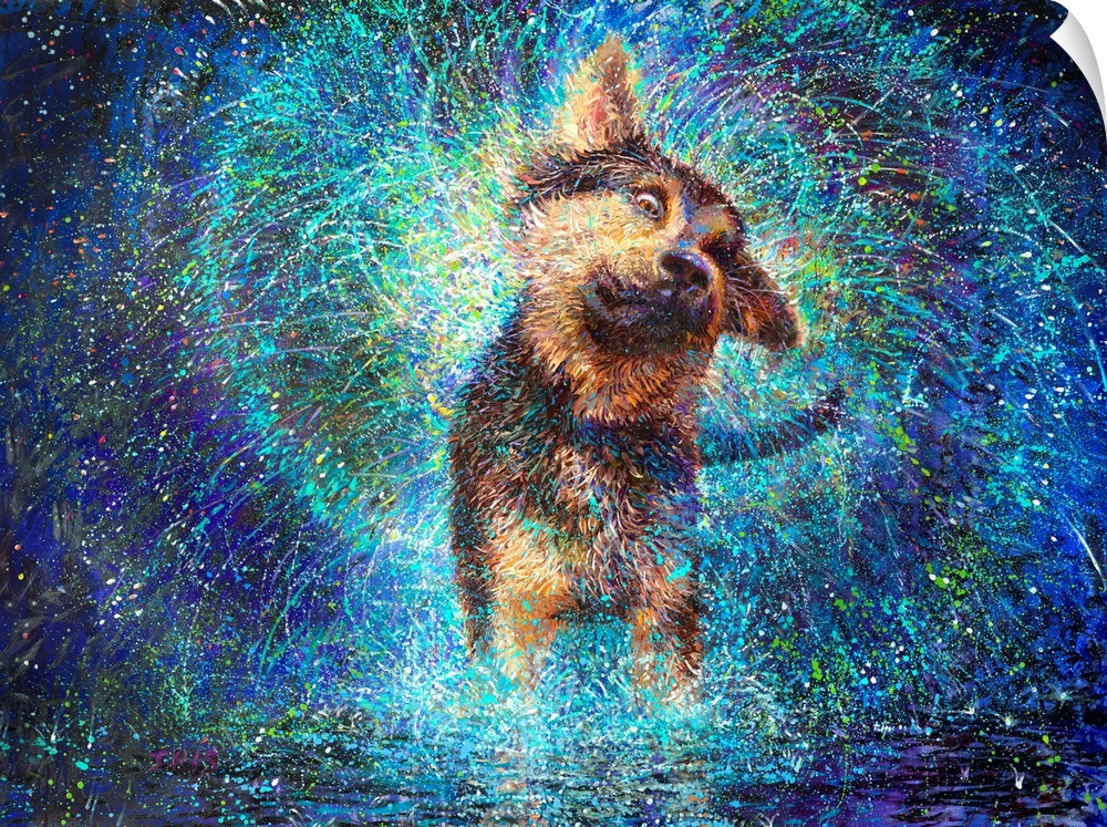 Brightly colored contemporary artwork of a brown and black dog shaking off water.