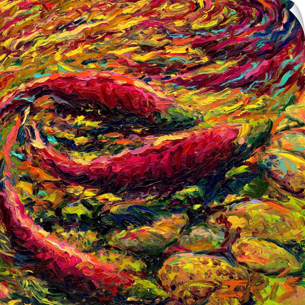 Brightly colored contemporary artwork of a three fish swimming.