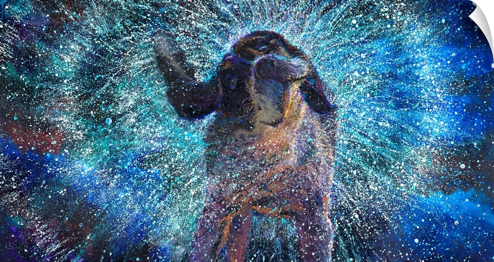 Brightly colored contemporary artwork of a black and white dog shaking off water.