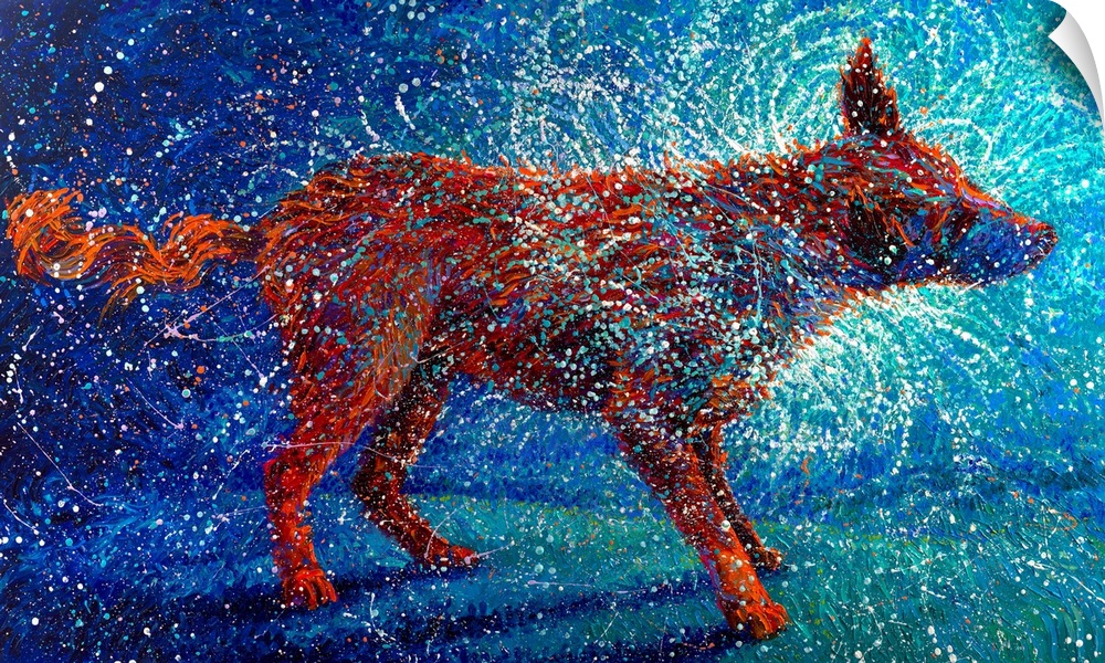 Brightly colored contemporary artwork of an orange dog shaking off water.