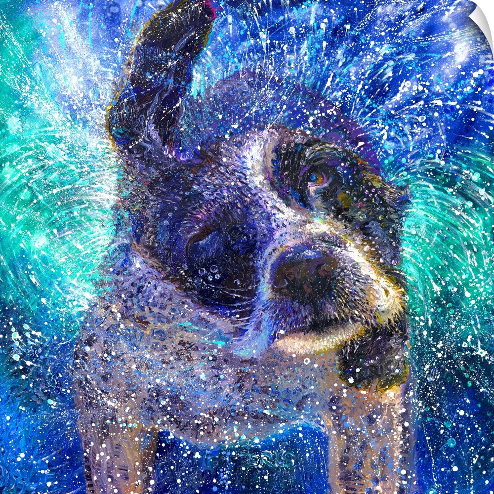 Brightly colored contemporary artwork of a cocker spaniel shaking off water.