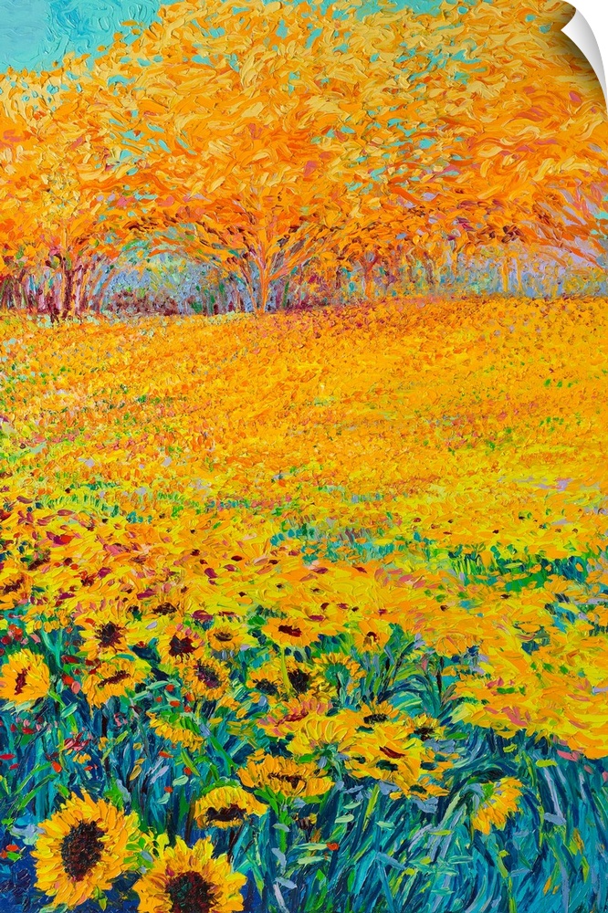 Brightly colored triptych of a sunflower field. Panel 3 of 3.