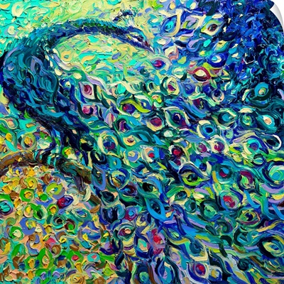 Peacock Feather Painting by Tara Thelen - Fine Art America