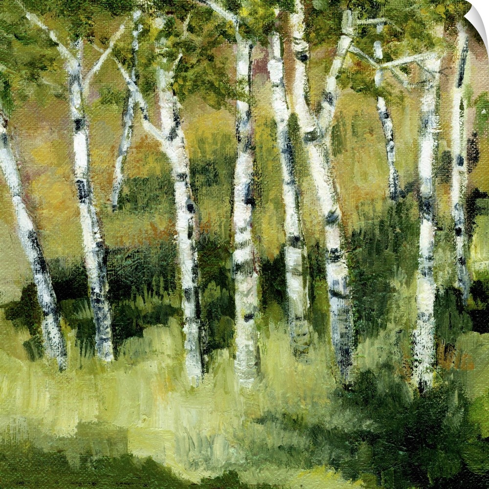 Contemporary painting of thin white birch trees in a green grassy clearing.