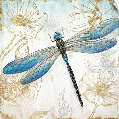 Blue Dragonfly II