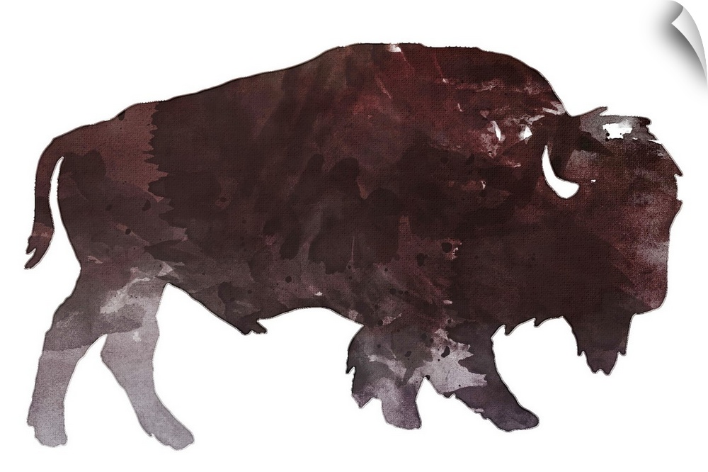 Watercolor painting of a bison.