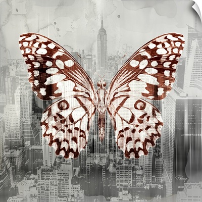 City Butterfly I