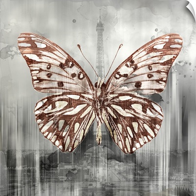 City Butterfly II