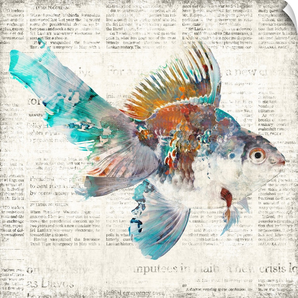 A decorative image of a multi-colored fish on a faded newspaper backdrop.
