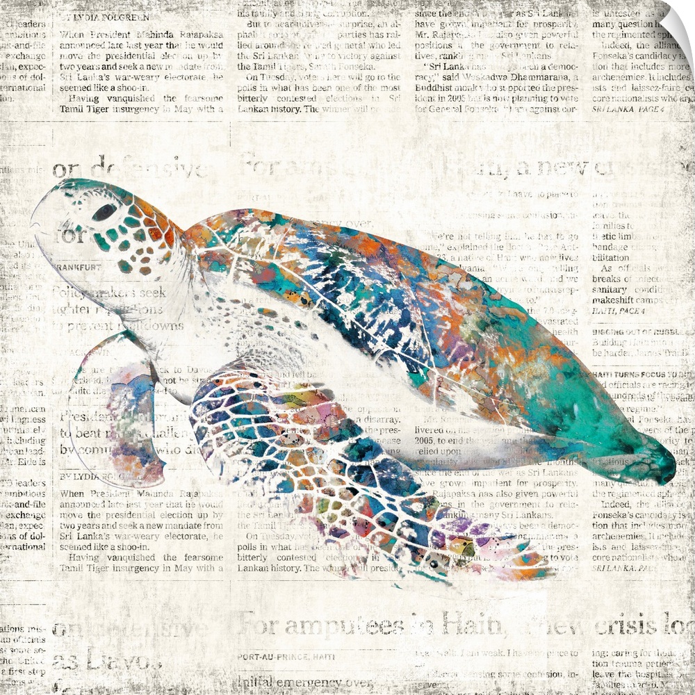 A decorative image of a multi-colored turtle on a faded newspaper backdrop.