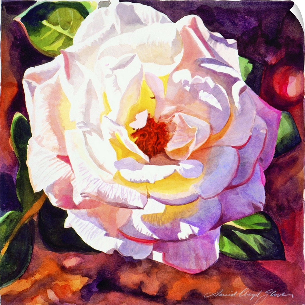 Painting of a rose with light shining on its petals.