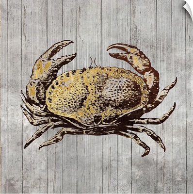 Driftwood Crab