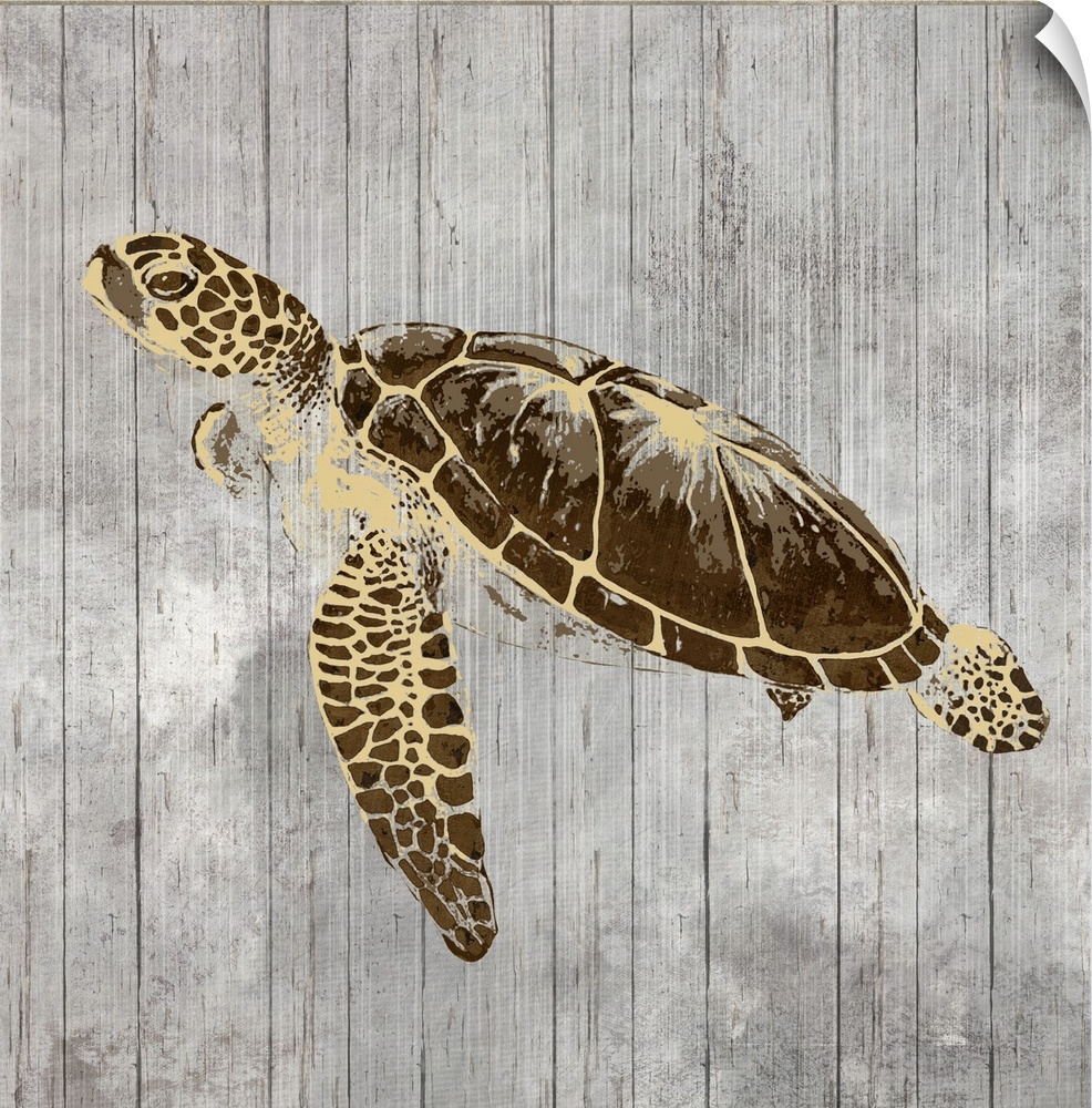 A decorative image of a turtle with gold accents on a gray wood backdrop.
