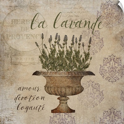 French Herbs La Lavende