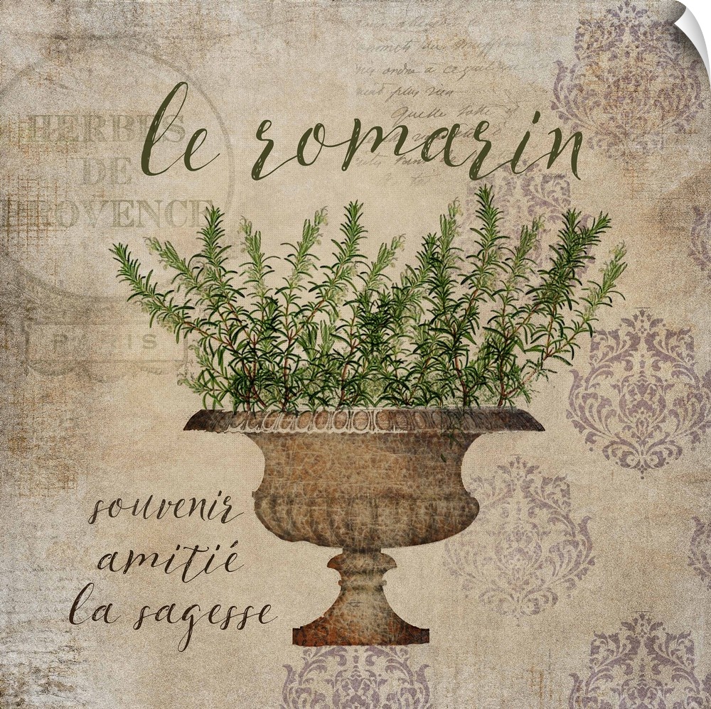 French Herbs Le Romarin