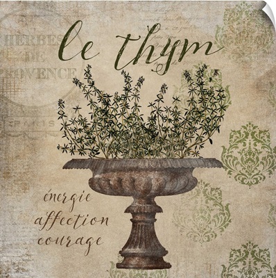 French Herbs Le Thym