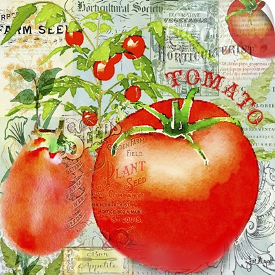 Green Grocer Tomato