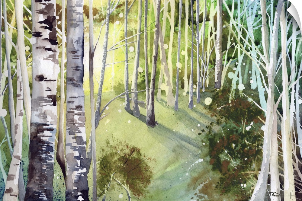 Painting of a forest with birch trees in green light.