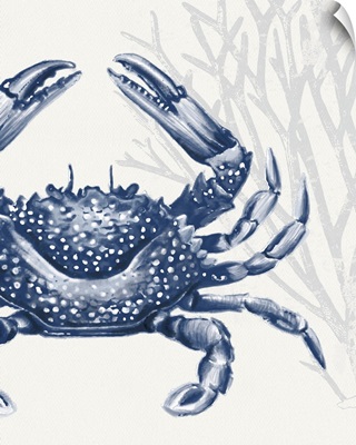 Indigo Crab
