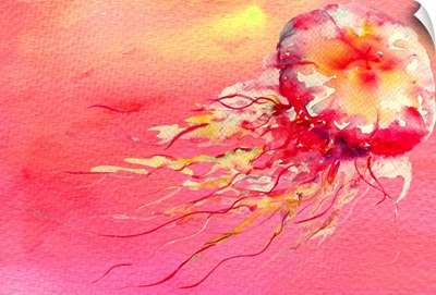 Jellyfish Pink
