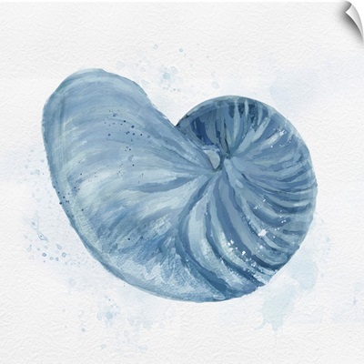 Nautilus In Blue