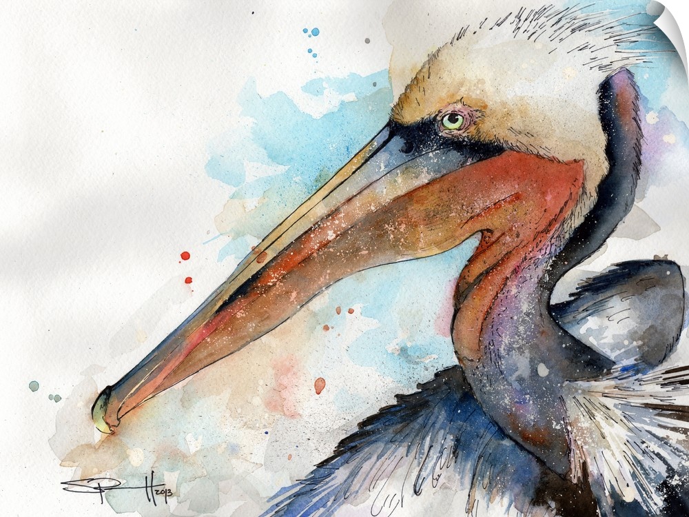 Watercolor portrait of a brown pelican.