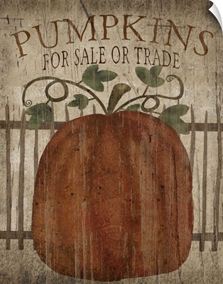 Pumpkins for Sale