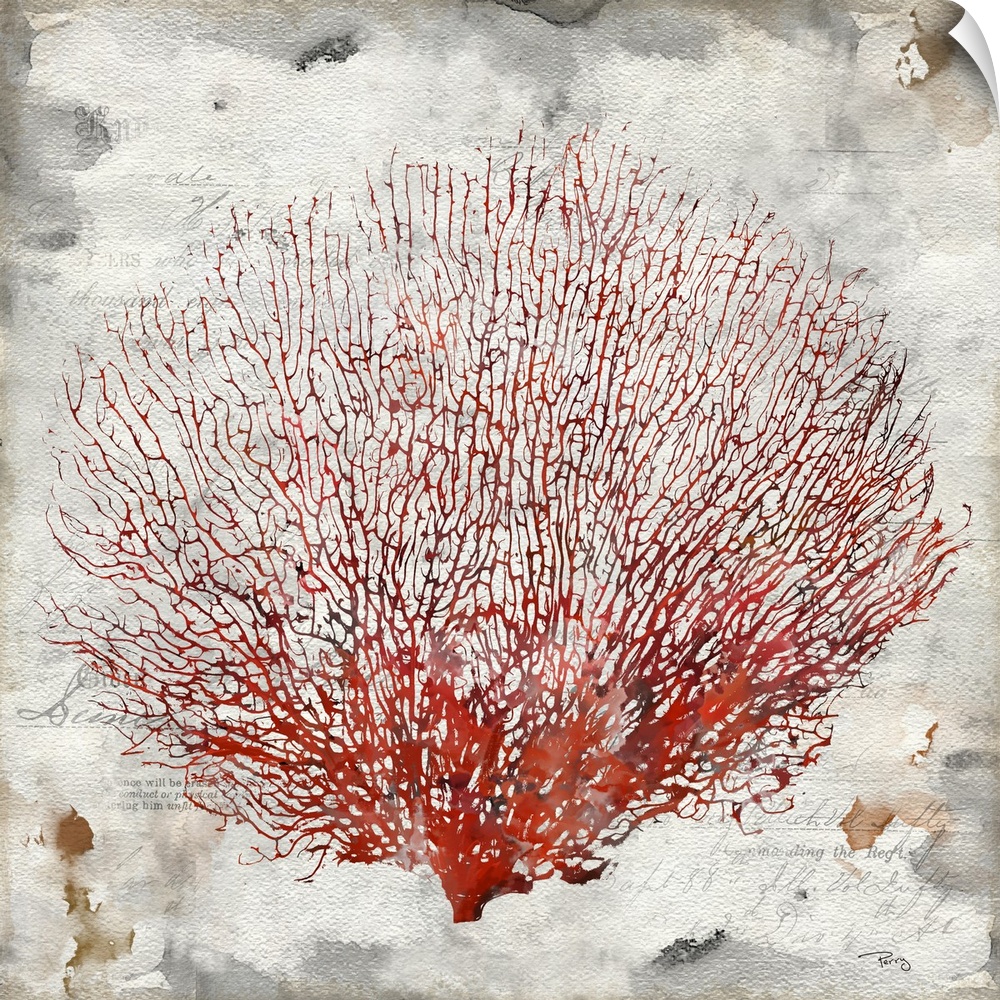 Decorative artwork of red coral on a distressed gray background with glances of text throughout.