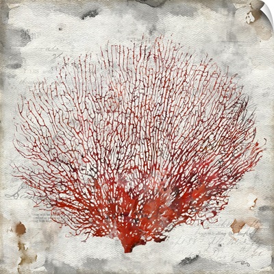 Red Coral I