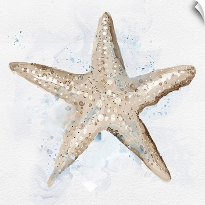 Starfish In Beige