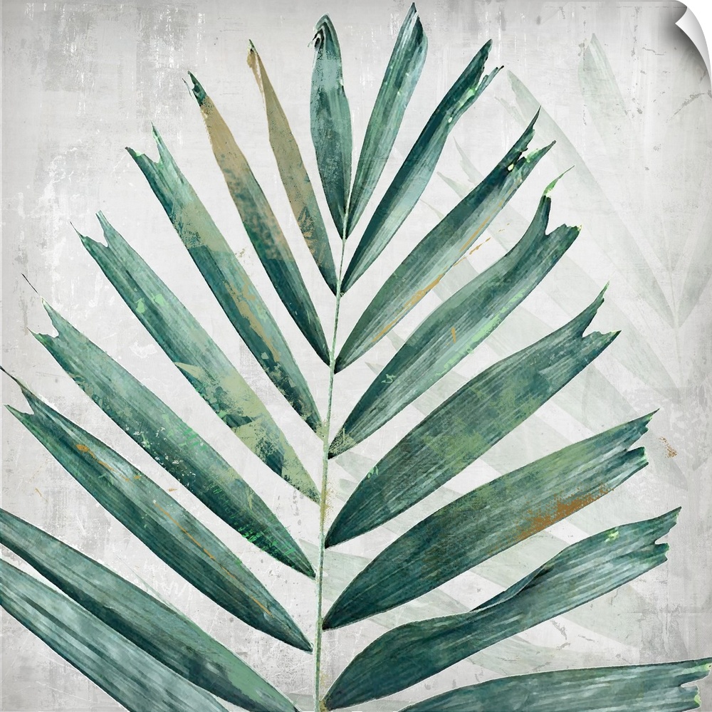 A square artistic image of a blue and green fern leaf with a fade leaf in the background with spatters and scratches.