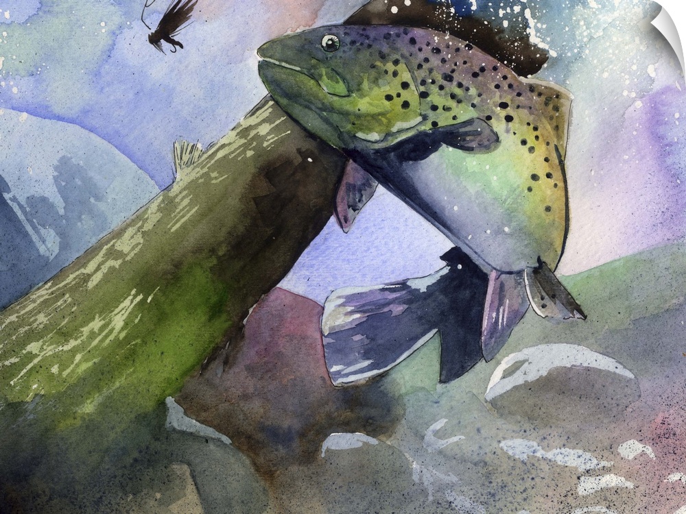 Painting of a rainbow trout underwater trying to catch a lure.