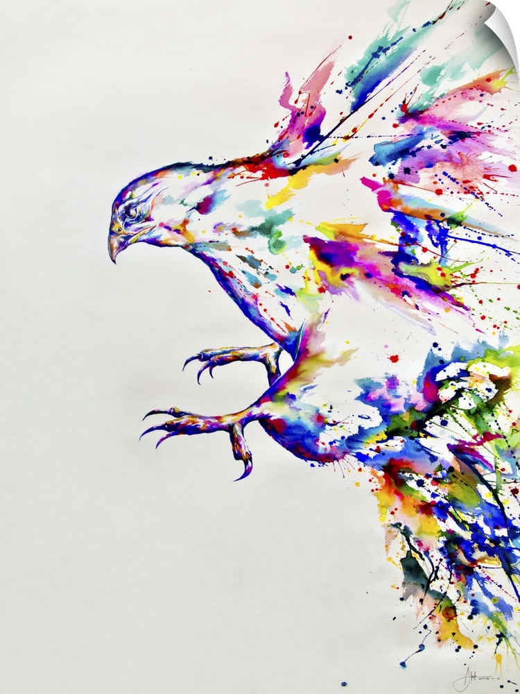 Watercolor and ink painting of a colorful bird in flight.