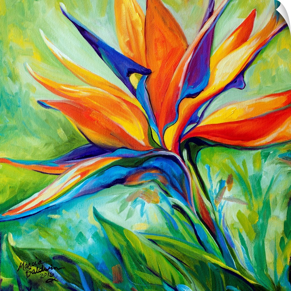 A floral abstract original oil painting of the Bird of Paradise blossom on a square background.