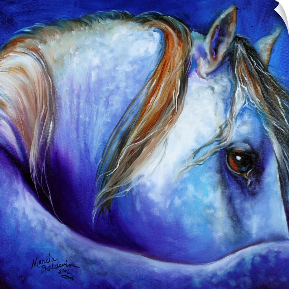 Square painting of a curled horse in cool tones.