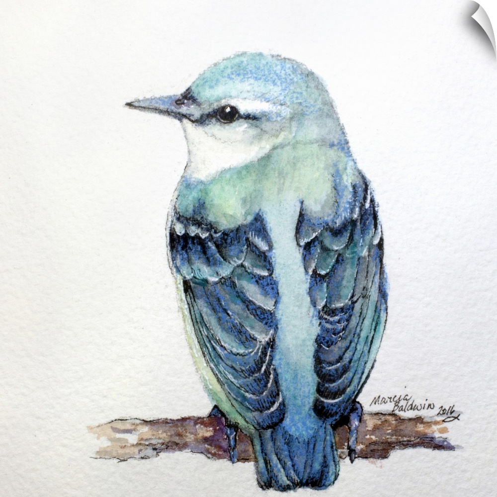 Square watercolor painting of a Nuthatch in shades of blue.