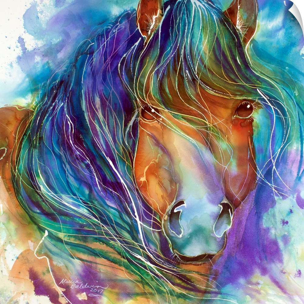 Painting of a Wild Mustang, bay, with long mane and vibrant color, depicts this equine in his strong nature and spirit.