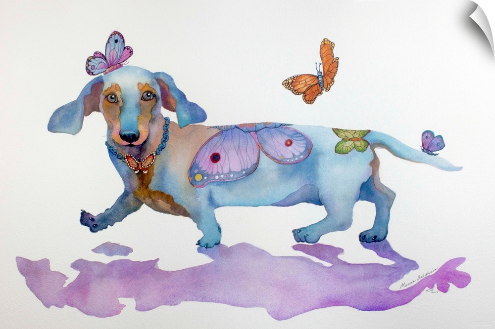 Watercolor painting that depicts a silly dachshund in his butterfly heaven. Fun Colors and Fun Butterflies.