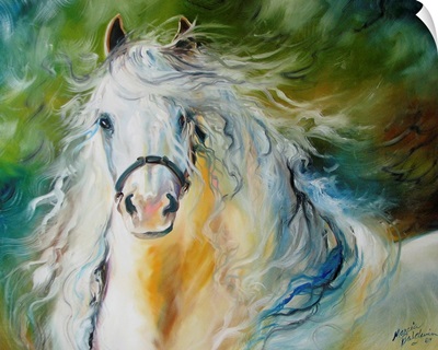 Cloud The White Andalusian
